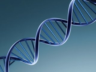 dna